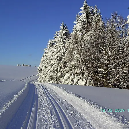 Διαμέρισμα Hauptmann Frauenwald