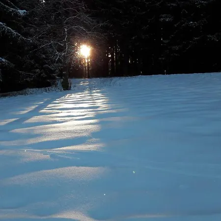 Διαμέρισμα Hauptmann *