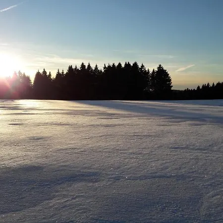 Διαμέρισμα Hauptmann