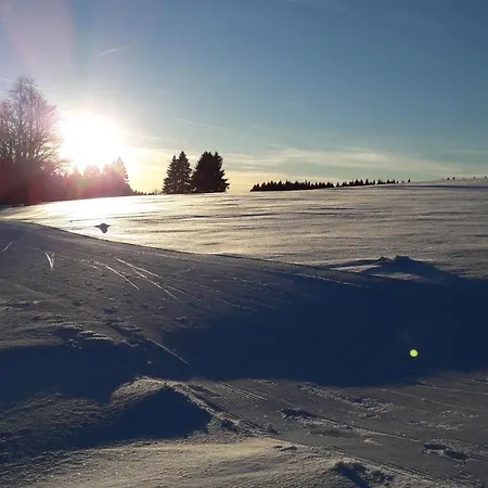 Διαμέρισμα Hauptmann *