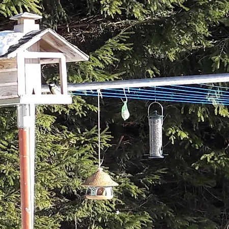 Hauptmann Διαμέρισμα *