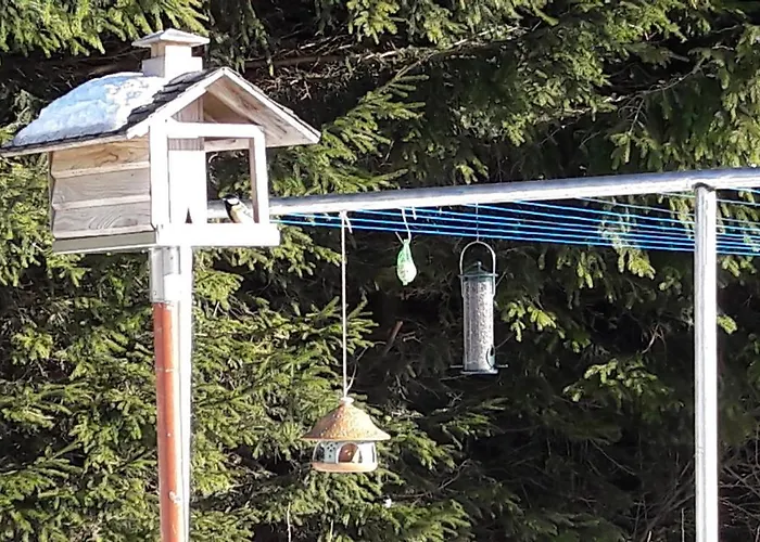 Hauptmann Lägenhet *